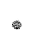 Black and white illustration of a shell on a white background