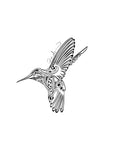 Black and white line drawing of a hummingbird on a white background