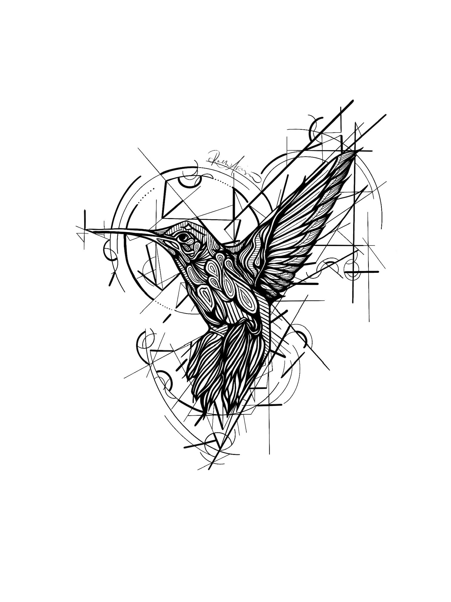Black and white line drawing of a hummingbird with geometric patterns on a white background