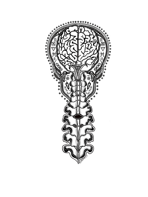 Black and white illustration of a brain and spinal column on a white background