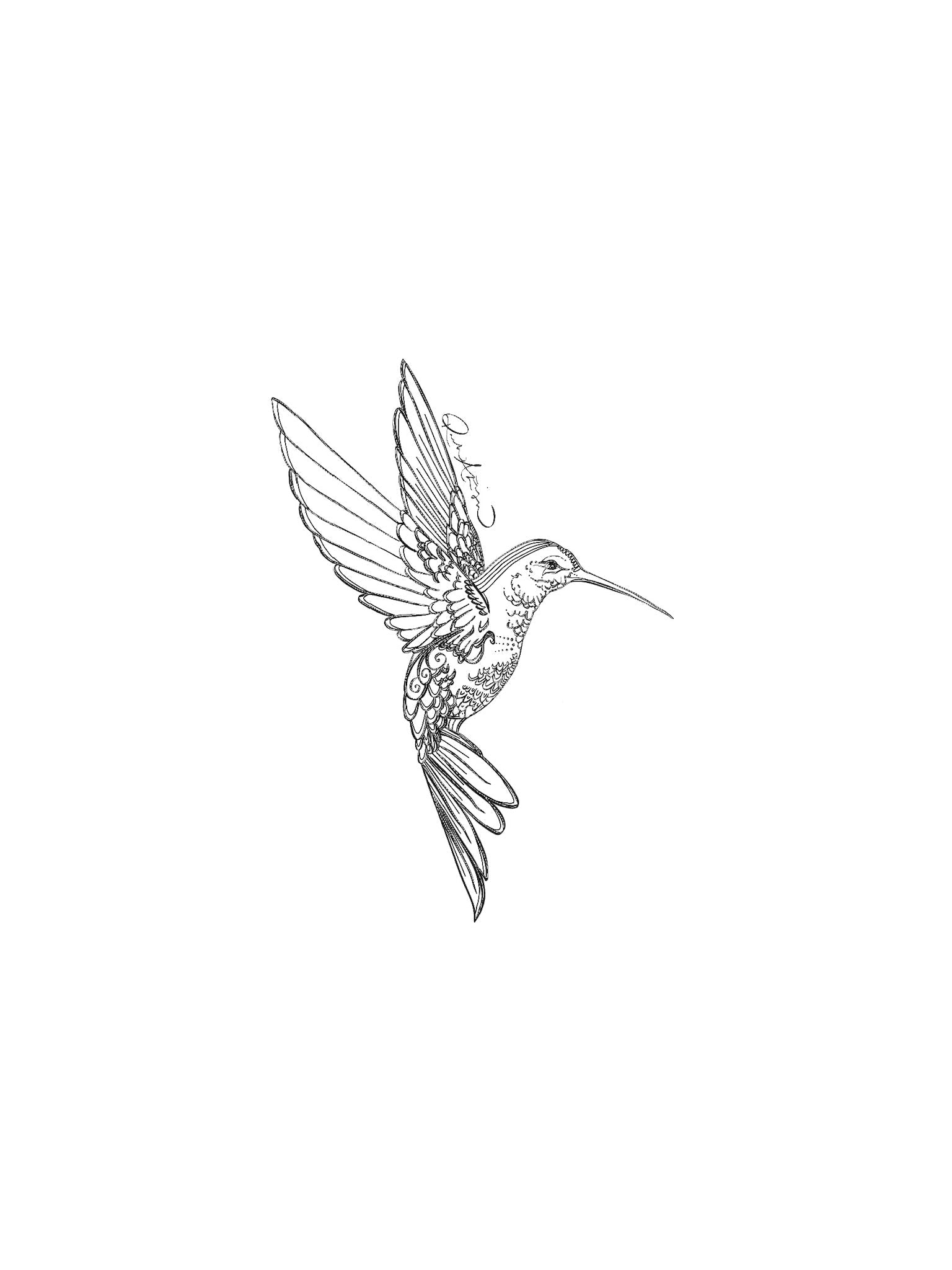 Black and white line drawing of a hummingbird on a white background