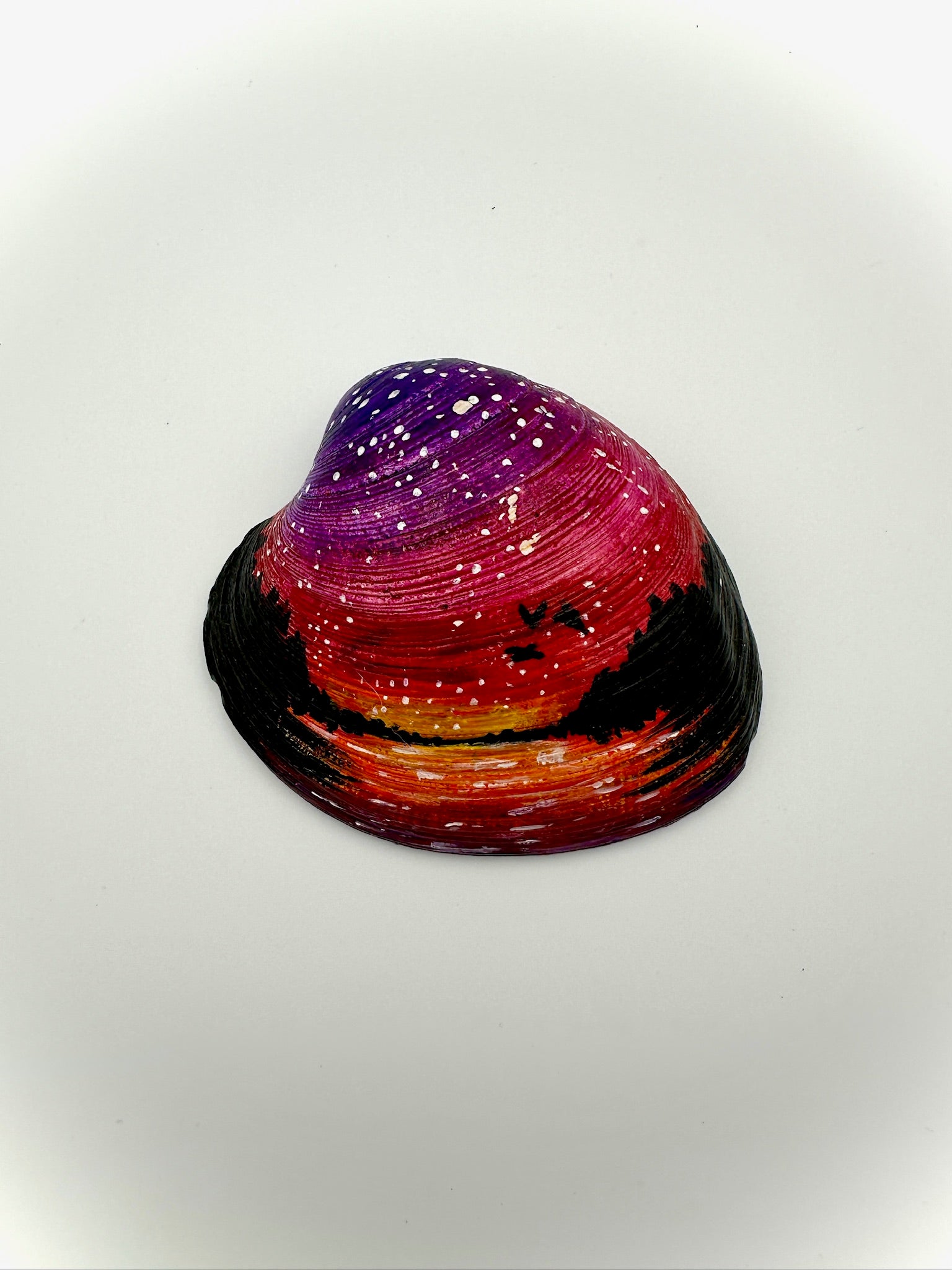 Colorful shell with gradient from purple to red on a white background